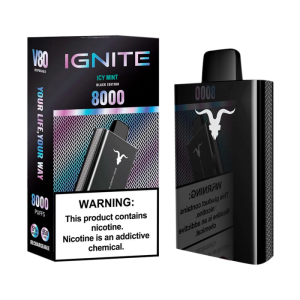 Ignite V80 8000 Puffs - Icy Mint